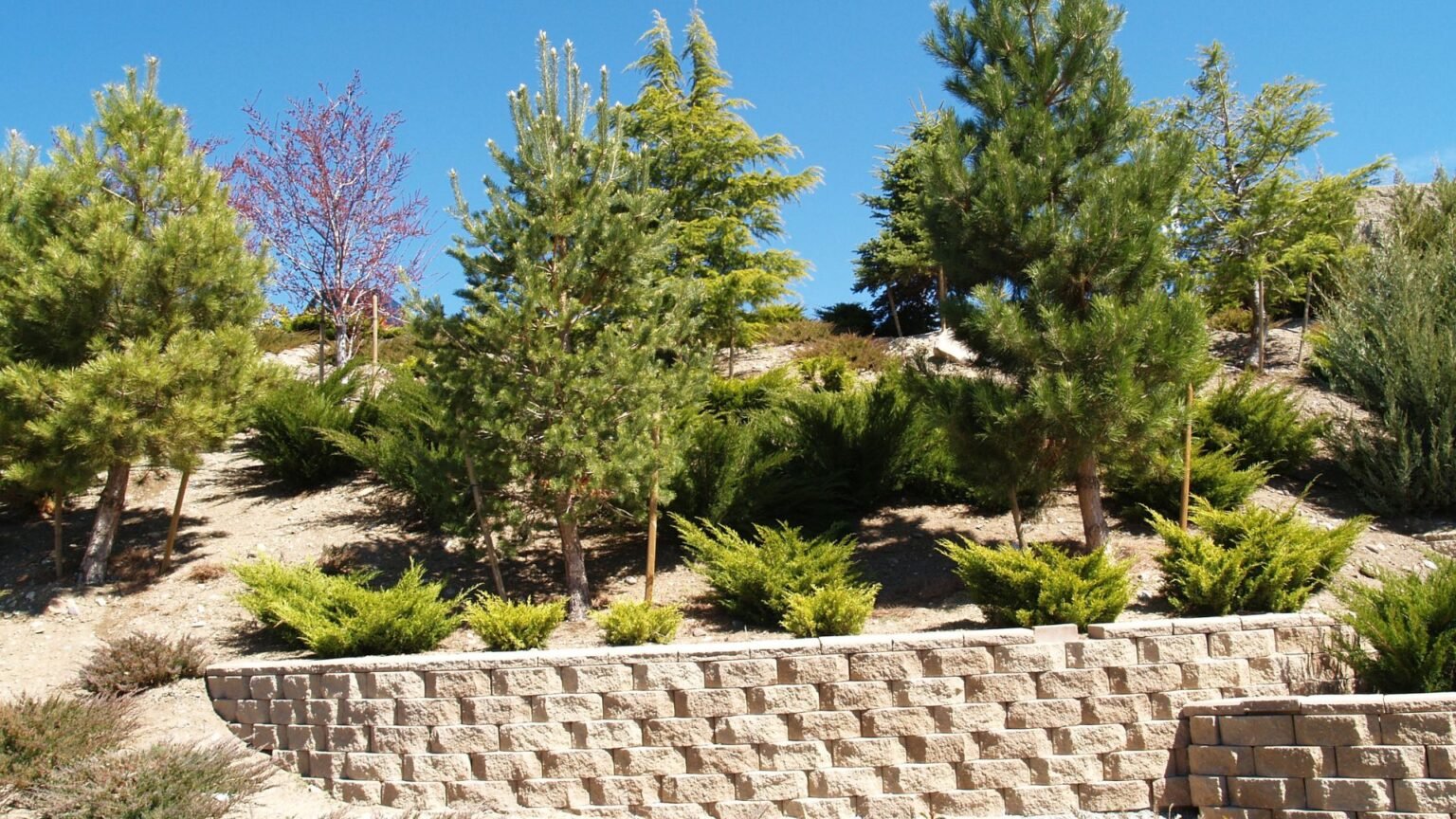 Ultimate Guide To NZS 3604 Retaining Walls